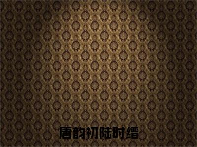 唐韵初陆时缙免费阅读 陆时缙唐韵初最新章节目录