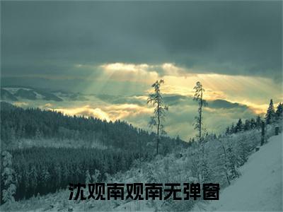 你怎么还不来哄我小说小说（ 沈观南观南全文完整版免费阅读）_你怎么还不来哄我小说小说免费最新章节列表_笔趣阁