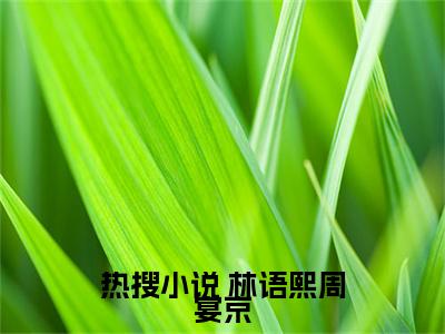  林语熙周宴京（宝，你老公回国了？全章节完整版）免费阅读_（ 林语熙周宴京）宝，你老公回国了？全文无删减免费阅读（ 林语熙周宴京）