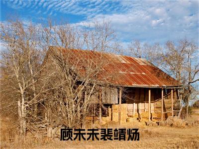 顾未未裴靖炀（裴靖炀顾未未）全文免费阅读无弹窗大结局_顾未未裴靖炀全文免费阅读_笔趣阁