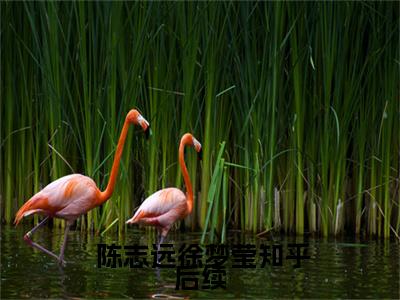  陈志远徐梦莹（青云多娇）全文免费阅读无弹窗大结局_(青云多娇) 陈志远徐梦莹免费阅读无弹窗最新章节列表_笔趣阁（ 陈志远徐梦莹）