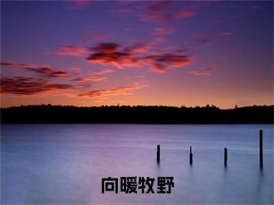 向暖牧野热推新书小说全文（牧野向暖）全文免费阅读_向暖牧野最新章节无弹窗阅读