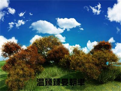 温臻臻晏朝聿在线阅读（晏朝聿温臻臻）全文免费阅读无弹窗大结局_晏朝聿温臻臻最新章节列表笔趣阁（温臻臻晏朝聿）