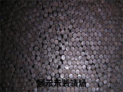 裴靖炀顾未未（顾未未裴靖炀）全文免费阅读无弹窗大结局_裴靖炀顾未未免费最新章节列表_笔趣阁