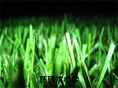 沈心柔陈硕（陈硕沈心柔）全文免费阅读无弹窗大结局_（陈硕沈心柔无弹窗）_笔趣阁
