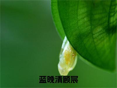 蓝晚清顾宸（顾宸蓝晚清）高质量小说免费阅读_蓝晚清顾宸最新章节列表_笔趣阁