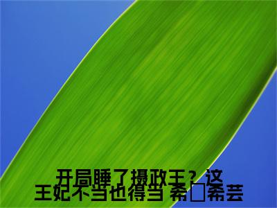 小说开局睡了摄政王？这王妃不当也得当( 希飏希芸)免费阅读-小说开局睡了摄政王？这王妃不当也得当全文在线赏析