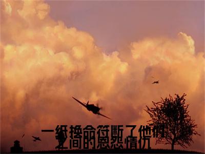 一纸换命符断了他们之间的恩怨情仇(梦璇玑谢景寒)全文免费阅读_梦璇玑谢景寒(一纸换命符断了他们之间的恩怨情仇)最新章节列表笔趣阁