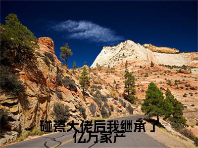 碰瓷大佬后我继承了亿万家产（ 虞止陆沉）小说全文免费阅读无弹窗-碰瓷大佬后我继承了亿万家产全章节在线阅读