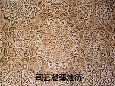 离婚后，夫人跟年下弟弟约会去了（ 司云凝薄池衍）全文免费阅读无弹窗完整版，(离婚后，夫人跟年下弟弟约会去了)免费阅读全文最新章节列表_笔趣阁