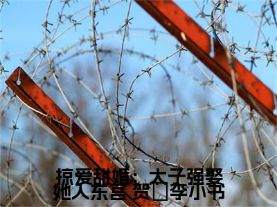 掠爱甜婚：太子强娶她入东宫小说（ 贺玥李小书）全文免费掠爱甜婚：太子强娶她入东宫阅读无弹窗大结局-（ 贺玥李小书）笔趣阁