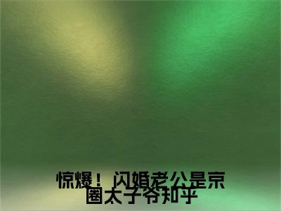惊爆！闪婚老公是京圈太子爷（ 晏轻战晏琛）全文无弹窗阅读-惊爆！闪婚老公是京圈太子爷（ 晏轻战晏琛）最新章节完整版阅读