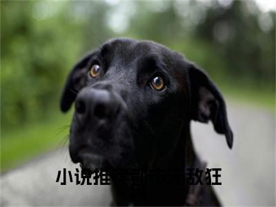 都市无敌狂枭全文免费阅读（ 林辰林辰强免费阅读无弹窗）都市无敌狂枭最新章节列表_笔趣阁