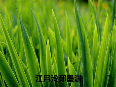 江月泠郁墨渊全文免费在线阅读_（郁墨渊江月泠全文免费阅读无弹窗大结局）江月泠郁墨渊最新章节列表_笔趣阁