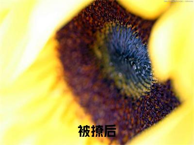 被撩后，霸总他宠妻无底线( 时楠秦延)全文免费阅读无弹窗大结局_( 时楠秦延在线阅读)被撩后，霸总他宠妻无底线最新章节列表笔趣阁（ 时楠秦延）