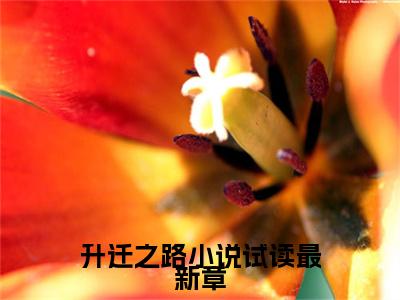  宋立海林可然的小说（升迁之路小说试读最新章）免费阅读_ 宋立海林可然小说免费阅读-笔趣阁（升迁之路小说试读最新章）