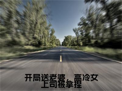 李响快手小说(开局送老婆,高冷女上司被拿捏)txt阅读大结局-抖音近期热门李响全文免费