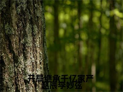 开局继承千亿家产小说免费阅读开局继承千亿家产小说全文免费阅读_（ 赵辰李妙弦）开局继承千亿家产最新章节列表笔趣阁