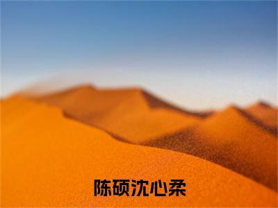 沈心柔陈硕全文免费阅读无弹窗大结局_（陈硕沈心柔阅读无弹窗）陈硕沈心柔最新章节列表_笔趣阁