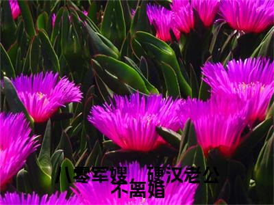 【全文】《陆建城蔡安安》小说txt在线阅读_(陆建城蔡安安全章节)-陆建城蔡安安_八零军嫂，硬汉老公不离婚在线阅读