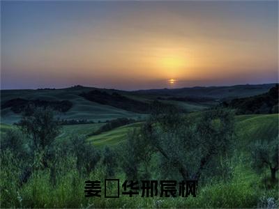 姜玥华邢宸枫:邢宸枫姜玥华(邢宸枫姜玥华)全文免费阅读无弹窗大结局_姜玥华邢宸枫:邢宸枫姜玥华免费阅读