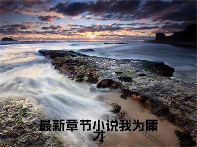 小说（我为庸才，执掌乾坤！）免费阅读-小说（ 风浩宛欣）无弹窗大结局 我为庸才，执掌乾坤！全文在线赏析最新章节列表_笔趣阁