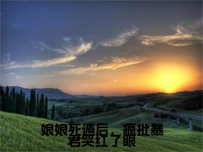 娘娘死遁后，疯批暴君哭红了眼（叶晚棠谢韫臣小说）全文免费阅读无弹窗大结局_娘娘死遁后，疯批暴君哭红了眼全文免费阅读_笔趣阁（叶晚棠谢韫臣）