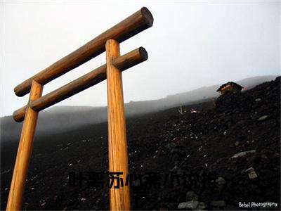  叶离苏心斋（巅峰帝王）最新热门小说榜单推荐- 叶离苏心斋最新章节免费阅读