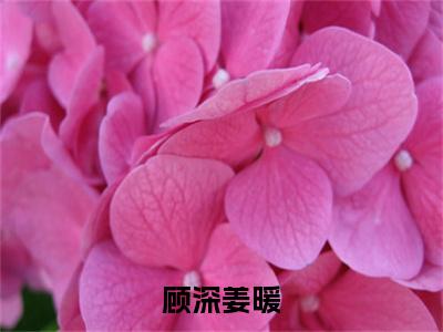 姜暖顾深小说（顾深姜暖）完整版小说阅读_姜暖顾深全本列表免费笔趣阁