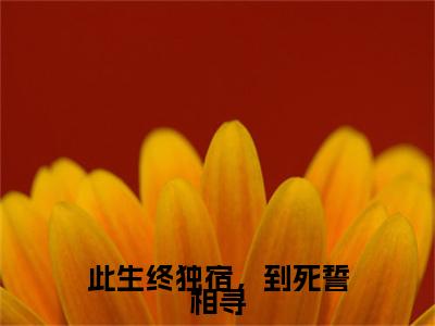 阮碧霄钟承和在线阅读（此生终独宿，到死誓相寻小说）全文免费阅读无弹窗大结局_此生终独宿，到死誓相寻免费最新章节列表_笔趣阁（阮碧霄钟承和小说）