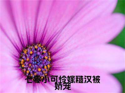 七零小可怜嫁糙汉被娇宠满分热推小说 -夏兰秦宇七零小可怜嫁糙汉被娇宠小说全本已完结