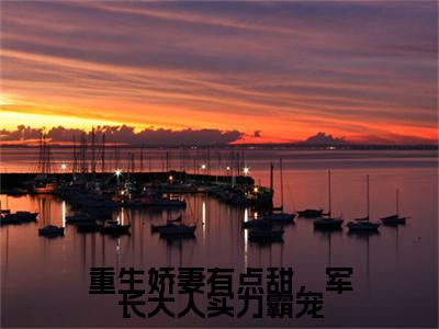 顾凌龙煜小说(重生娇妻有点甜，军长大人实力霸宠)全文免费阅读_(重生娇妻有点甜，军长大人实力霸宠)顾凌龙煜小说最新章节列表_笔趣阁(重生娇妻有点甜，军长大人实力霸宠)