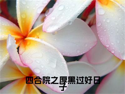 四合院之厚黑过好日子小说免费阅读李新小说全文免费阅读_（四合院之厚黑过好日子）李新最新章节列表笔趣阁