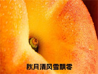 牧雨霜月小说(秋月清风雪飘零已完结小说全集完整版大结局)秋月清风雪飘零小说全文阅读笔趣阁