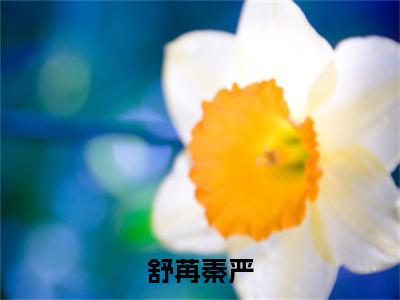舒苒秦严(秦严舒苒)全文免费阅读_舒苒秦严(秦严舒苒在线小说免费阅读)全文阅读