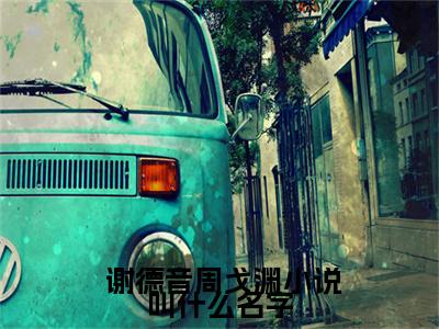 谢德音周戈渊免费阅读（ 谢德音周戈渊）全文免费阅读无弹窗大结局_( 谢德音周戈渊)谢德音周戈渊免费阅读最新章节列表_笔趣阁
