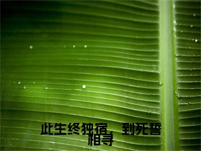 此生终独宿，到死誓相寻热文小说全文阅读-精彩美文阮碧霄钟承和免费阅读