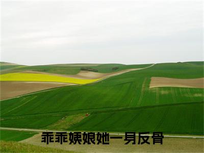 (热推新书)《乖乖姨娘她一身反骨》全文免费阅读最新章节大结局-鱼晚棠叶铭无弹窗阅读