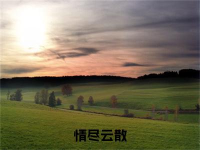 情尽云散多人追的小说在哪里可以看 江姝燕傅彦辰知乎连载小说免费阅读全章节