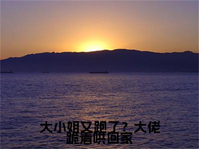  靳渊冉玉娇（大小姐又跑了？大佬跪着哄回家）全文免费阅读无弹窗大结局_大小姐又跑了？大佬跪着哄回家全文在线阅读
