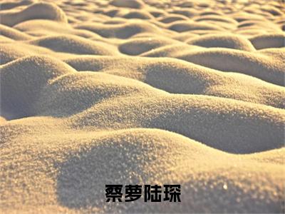 精选小说蔡萝陆琛（陆琛蔡萝）全本阅读_陆琛蔡萝免费阅读_笔趣阁