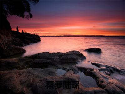 蔡萝陆琛（陆琛蔡萝）小说全文免费阅读_（陆琛蔡萝）小说全文无删减版在线阅读