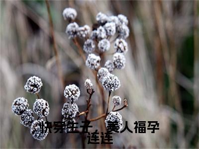 纪云欢全文免费阅读大结局-快穿生子，美人福孕连连最新章节列表笔趣阁