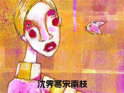 宋南枝沈霁寒全文免费阅读大结局-沈霁寒宋南枝最新章节列表笔趣阁