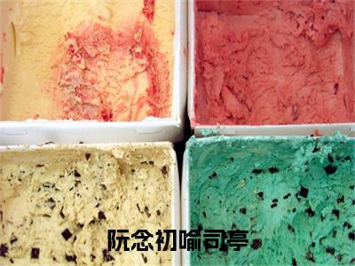 喻司亭阮念初小说免费下载阅读_(阮念初喻司亭)喻司亭阮念初最新章节列表_笔趣阁(阮念初喻司亭)