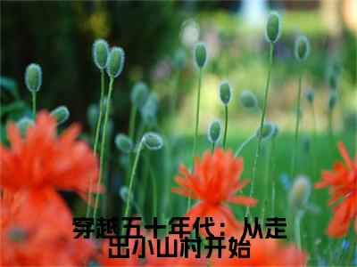 穿越五十年代:从走出小山村开始在线阅读(贺安安周兴然)全文免费阅读大结局_穿越五十年代:从走出小山村开始免费最新章节列表_笔趣阁