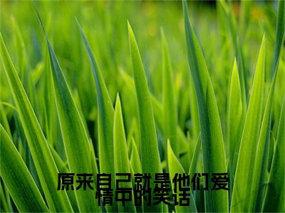 原来自己就是他们爱情中的笑话小说全文-原来自己就是他们爱情中的笑话（慕微梦刘承隽）最新章节免费阅读