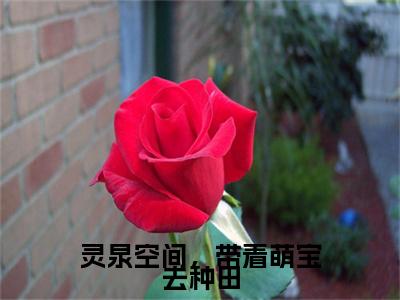 灵泉空间，带着萌宝去种田（乔笙全章节完整版）免费阅读_灵泉空间，带着萌宝去种田（乔笙）最新章节列表笔趣阁（灵泉空间，带着萌宝去种田）