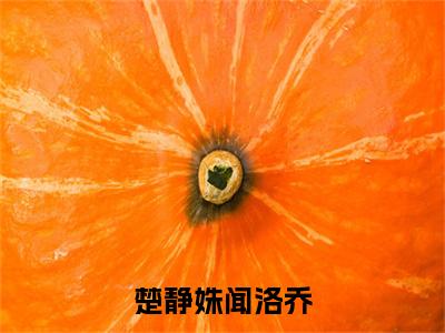 楚静姝闻洛乔(闻洛乔楚静姝)小说全文免费阅读-楚静姝闻洛乔（闻洛乔楚静姝）免费在线阅读完整版