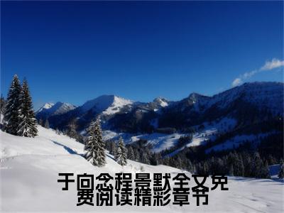 【新书】《于向念程景默全文免费阅读》全文免费阅读无弹窗大结局- 程景默于向念 全文全章节免费阅读